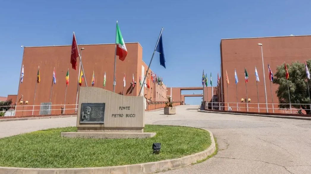Clima e crisi globali: esperti da tutta Europa all'UniCal per la EUPeace Conference