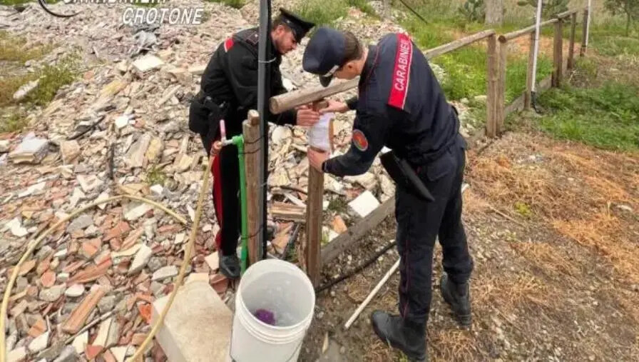 Crotone, sversamento di rifiuti misti: una denuncia images Crotone, sversamento di rifiuti misti: una denuncia