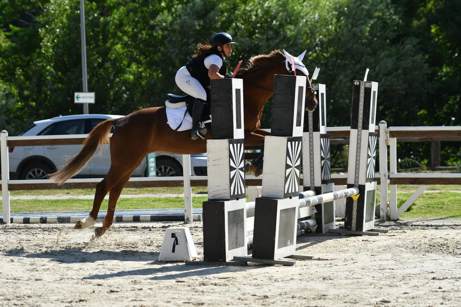 Ginevra Gaia Cosenza è campionessa regionale Fise Calabria: ha solo 10 anni e conquista il titolo dopo 8 mesi in sella  