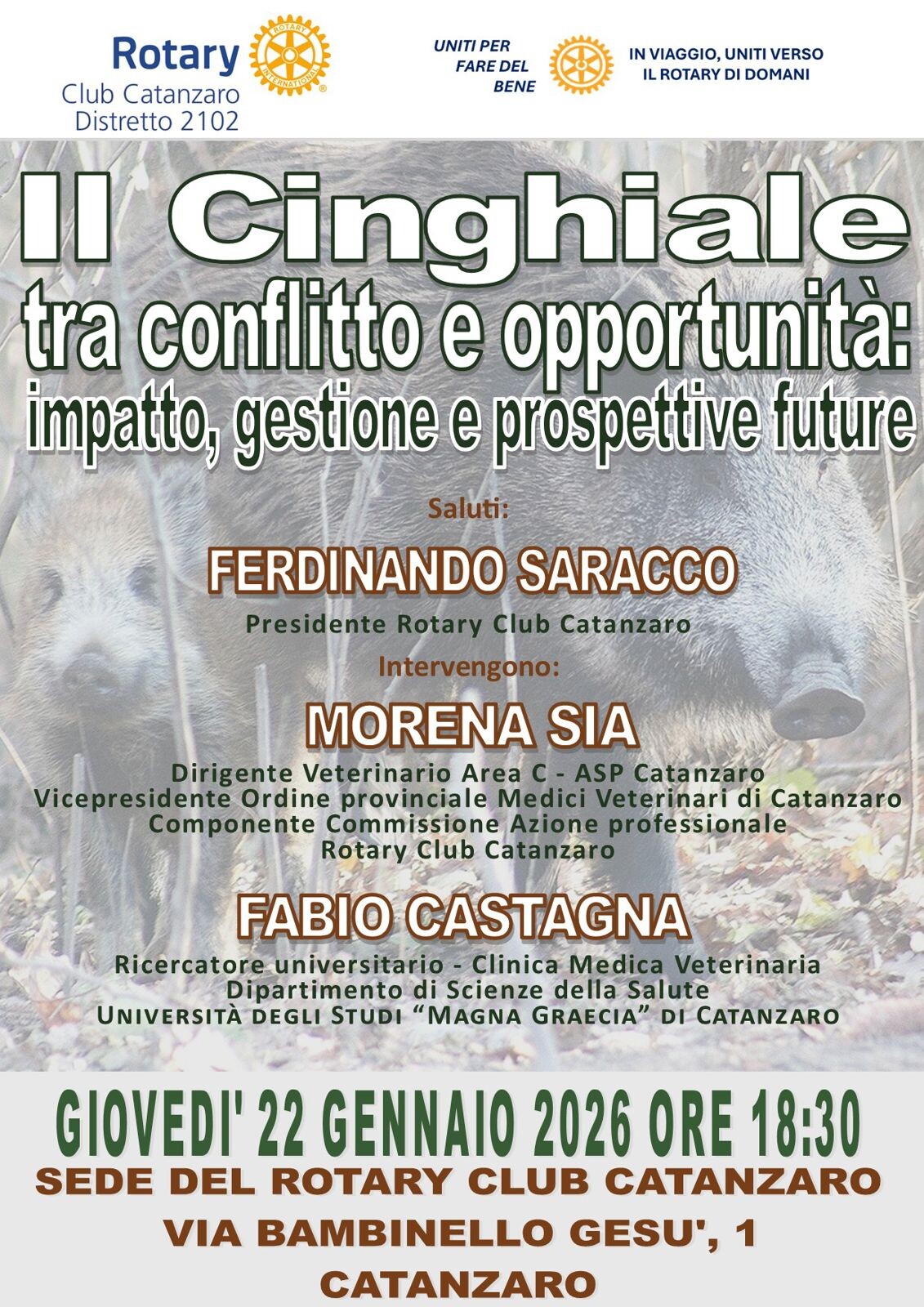 images Catanzaro, il Rotary promuove un incontro- confronto su "Il cinghiale tra conflitto e opportunità"