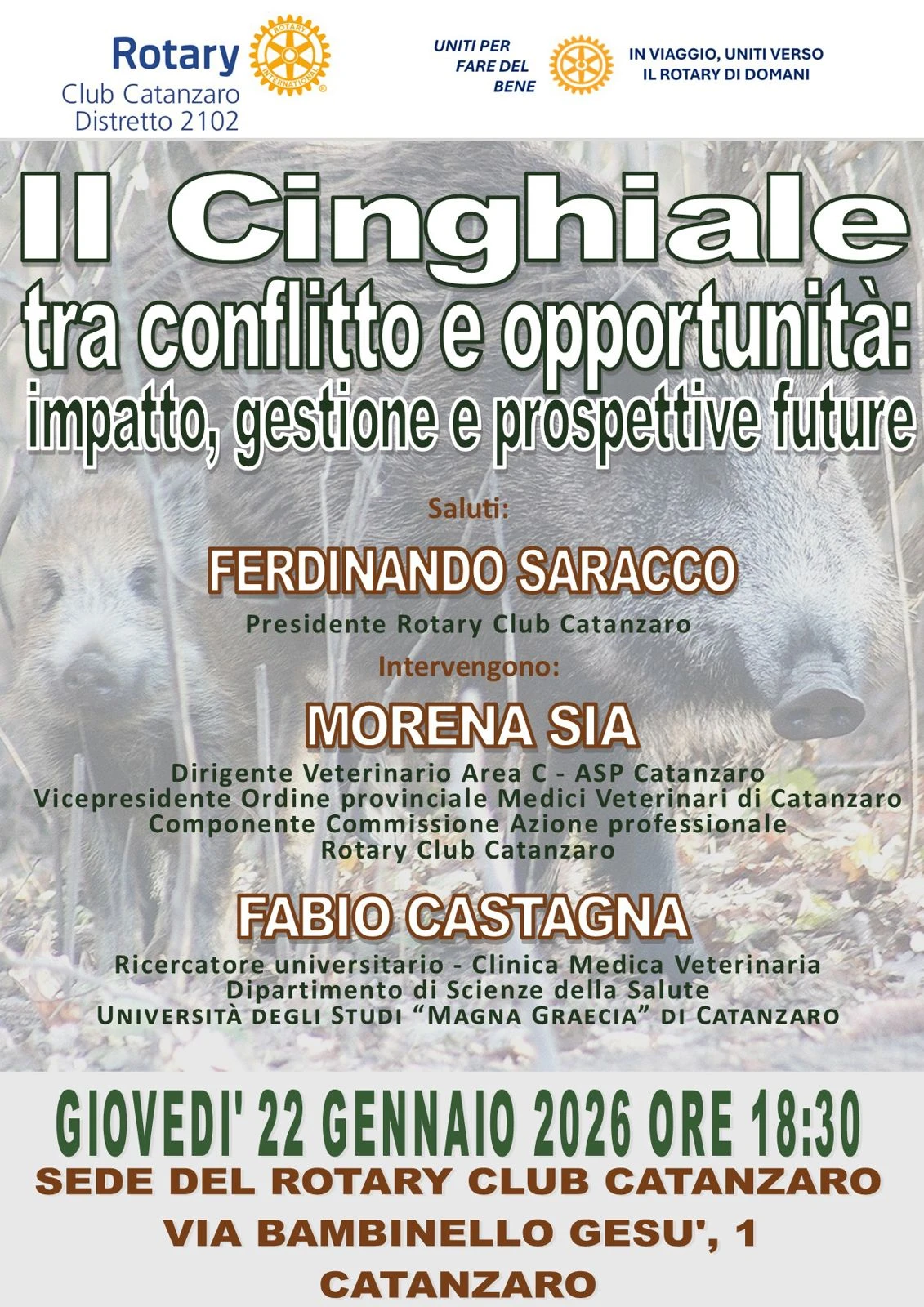 Catanzaro, il Rotary promuove un incontro- confronto su "Il cinghiale tra conflitto e opportunità"