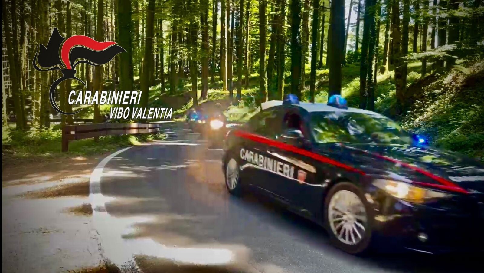 Controlli straordinari nelle Preserre Vibonesi: il bilancio images Controlli straordinari nelle Preserre Vibonesi: il bilancio