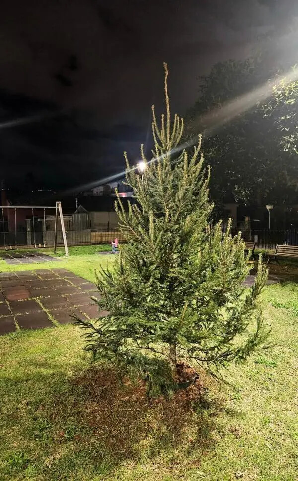 Lamezia Terme, iniziativa natalizia nel quartiere Capizzaglie images Lamezia Terme, iniziativa natalizia nel quartiere Capizzaglie