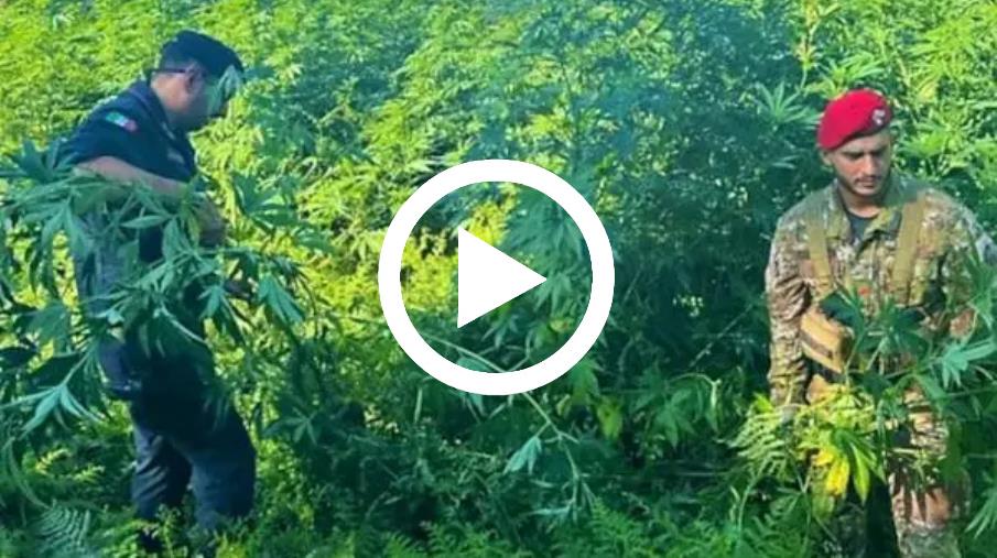 images Spaccio di droga, a Lamezia un nuovo blitz: 14 arresti (NOMI)