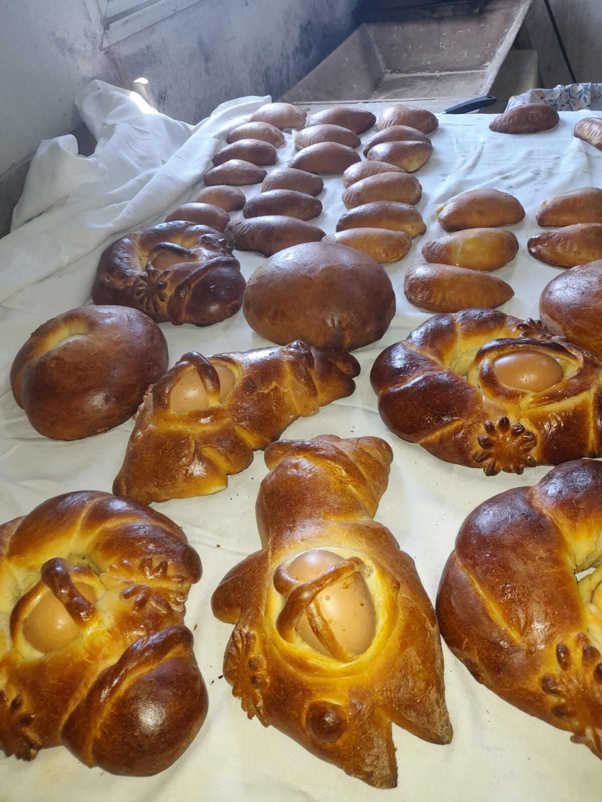 images Montauro, con Sara il profumo della Pasqua resiste nel tempo: le mani, la memoria, l’amore