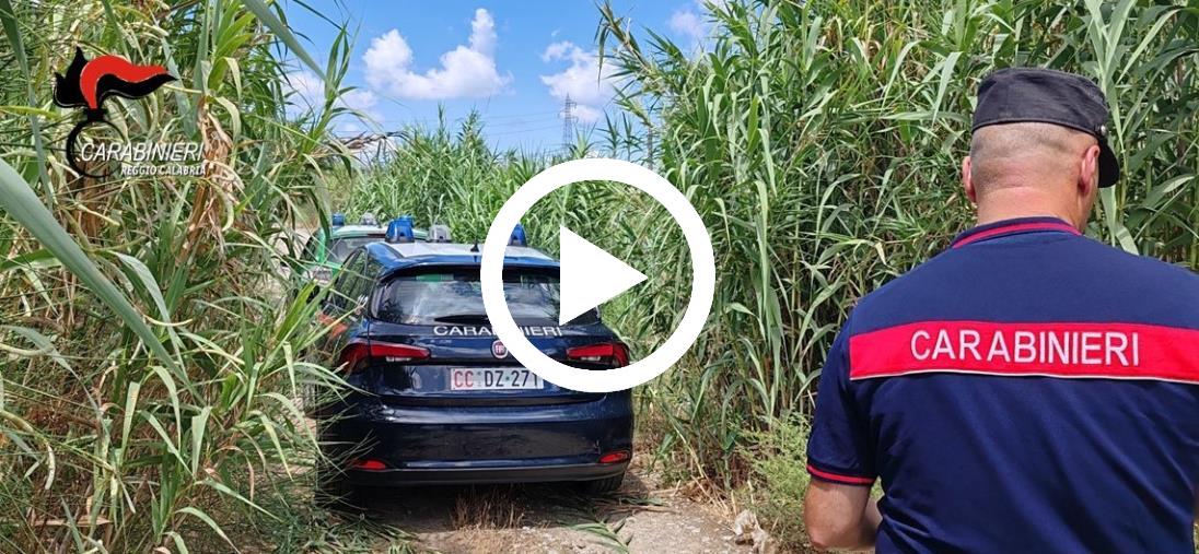 images Lotta all’inquinamento nei fiumi, denunce nel Reggino