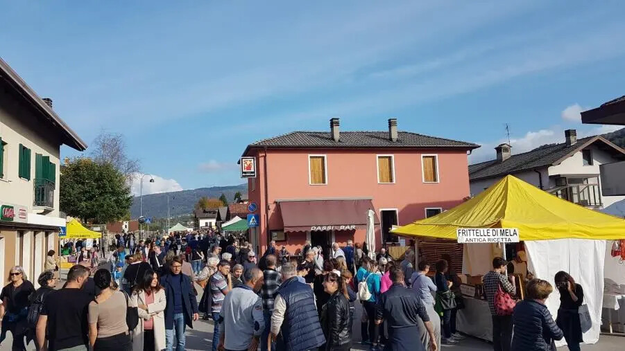 images Grande successo in terra veneta: il Comune di Amaroni protagonista alla Fiera dell'Apicoltura di Limana