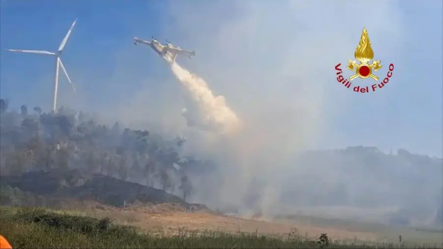 Le fiamme sembravano sotto controllo ma hanno ripreso vigore: da ieri vasto incendio nel Crotonese images Le fiamme sembravano sotto controllo ma hanno ripreso vigore: da ieri vasto incendio nel Crotonese