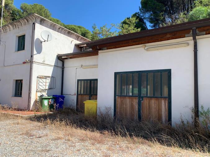 images Tragedia alla Valle dei Mulini a Catanzaro: arrestato lo stalliere con l'accusa di tentato omicidio. Bastonate dopo insulti  
