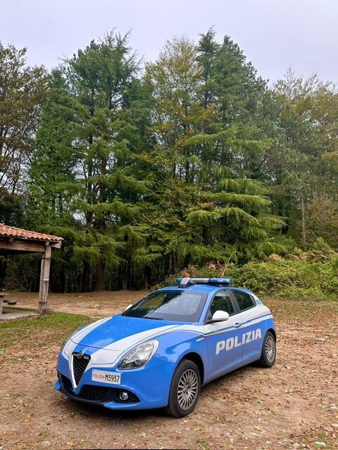images Ritrovati e portati in salvo in Aspromonte 2 cercatori di funghi dispersi nella zona Zomaro