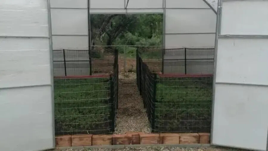 images Catanzaro, concluso il progetto ”Sgusciate” del Centro Calabrese di Solidarietà