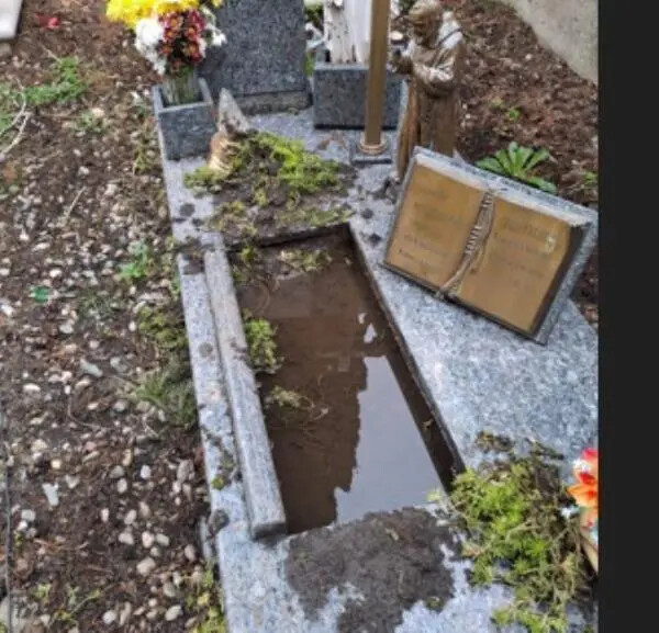 images "Danni al cimitero di Santa Maria a causa dei cinghiali", lo sdegno del consigliere Costa 