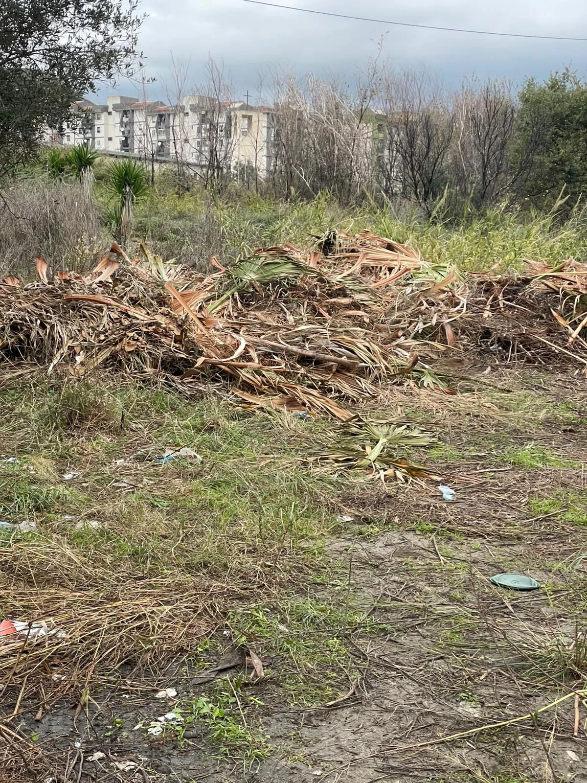 Viale Isonzo trasformato in discarica, Costanzo: “Il Comune dia spiegazioni, le responsabilità non sempre sono riconducibili ai pochi cittadini incivili”