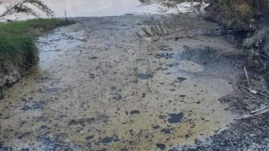 images Fanghi e reflui fognari sulla spiaggia di Giovino, Riccio e Costa: "Fiorita vuole passare dalla bandiera blu a quella marrone"