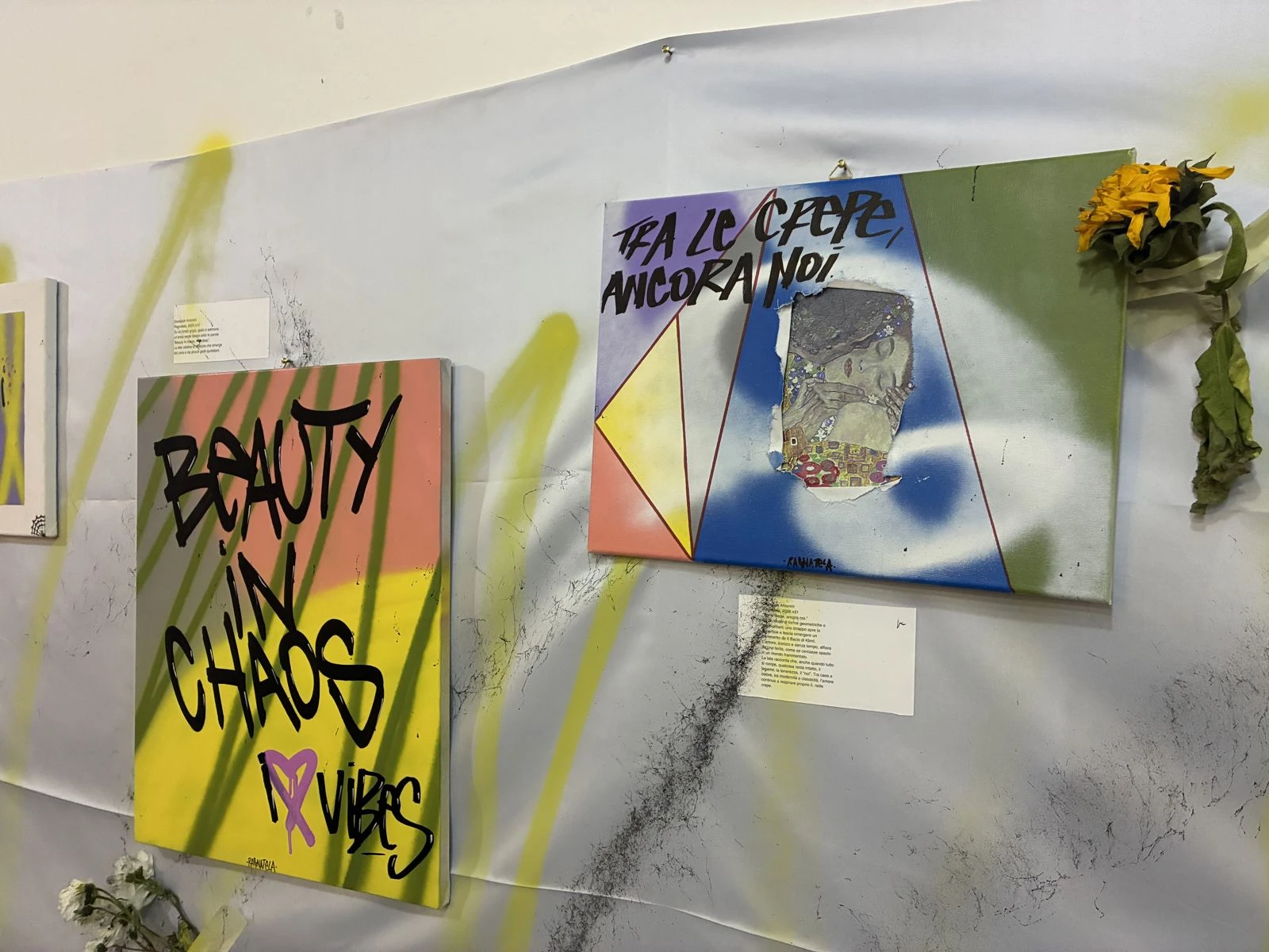 639ba174-ce80-4e52-a783-1fd085559720_img_7865.webp 639ba174-ce80-4e52-a783-1fd085559720_img_7865.webp