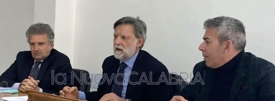 images Donato, Parisi e Veraldi su gatti randagi a Catanzaro: "Il Comune fa beneficenza all’Asp"