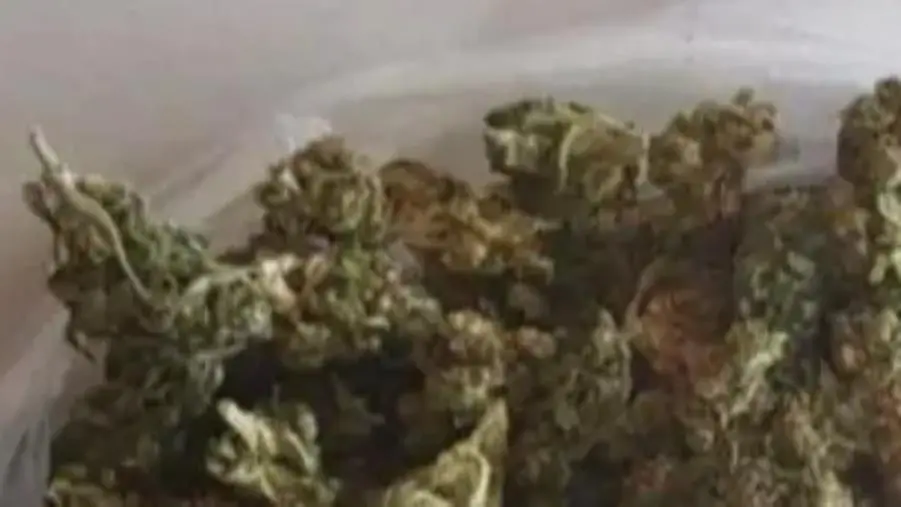 images Oltre 2 mila euro di marijuana da smerciare: annullato a un giovane l'obbligo di dimora a Luzzi