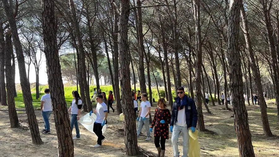 Catanzaro, giornata ecologica alla Pineta di Giovino images Catanzaro, giornata ecologica alla Pineta di Giovino
