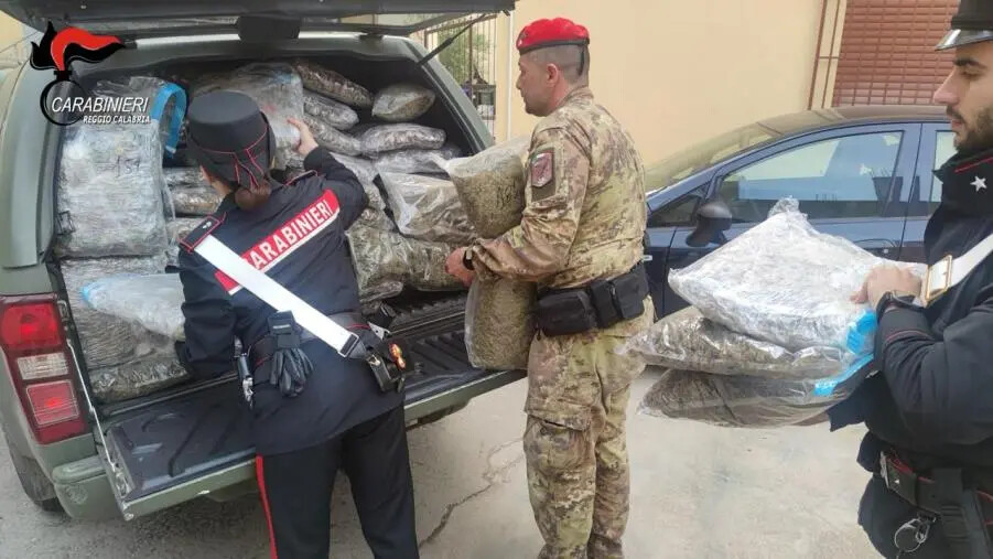 In un casolare oltre 188 kg di droga, un fucile e munizione: un arresto nel Reggino  images In un casolare oltre 188 kg di droga, un fucile e munizione: un arresto nel Reggino
