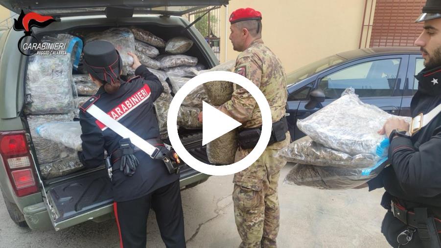 images In un casolare oltre 188 kg di droga, un fucile e munizione: un arresto nel Reggino 