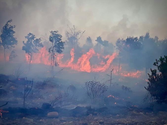 images Parte la raccolta fondi per l'emergenza incendi di Forum Terzo Settore Catanzaro-Soverato e Csv Calabria Centro