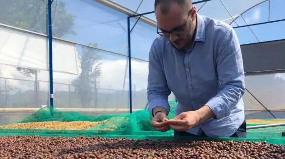 Montano Caffè riceve la qualifica Q Grader: intervista a Salvatore Marco Mazzei images Montano Caffè riceve la qualifica Q Grader: intervista a Salvatore Marco Mazzei