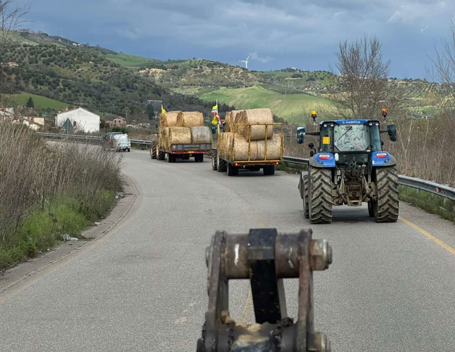 images Maltempo, il cuore solidale di Coldiretti: donati carichi di fieno e foraggi alle aziende colpite dall’alluvione