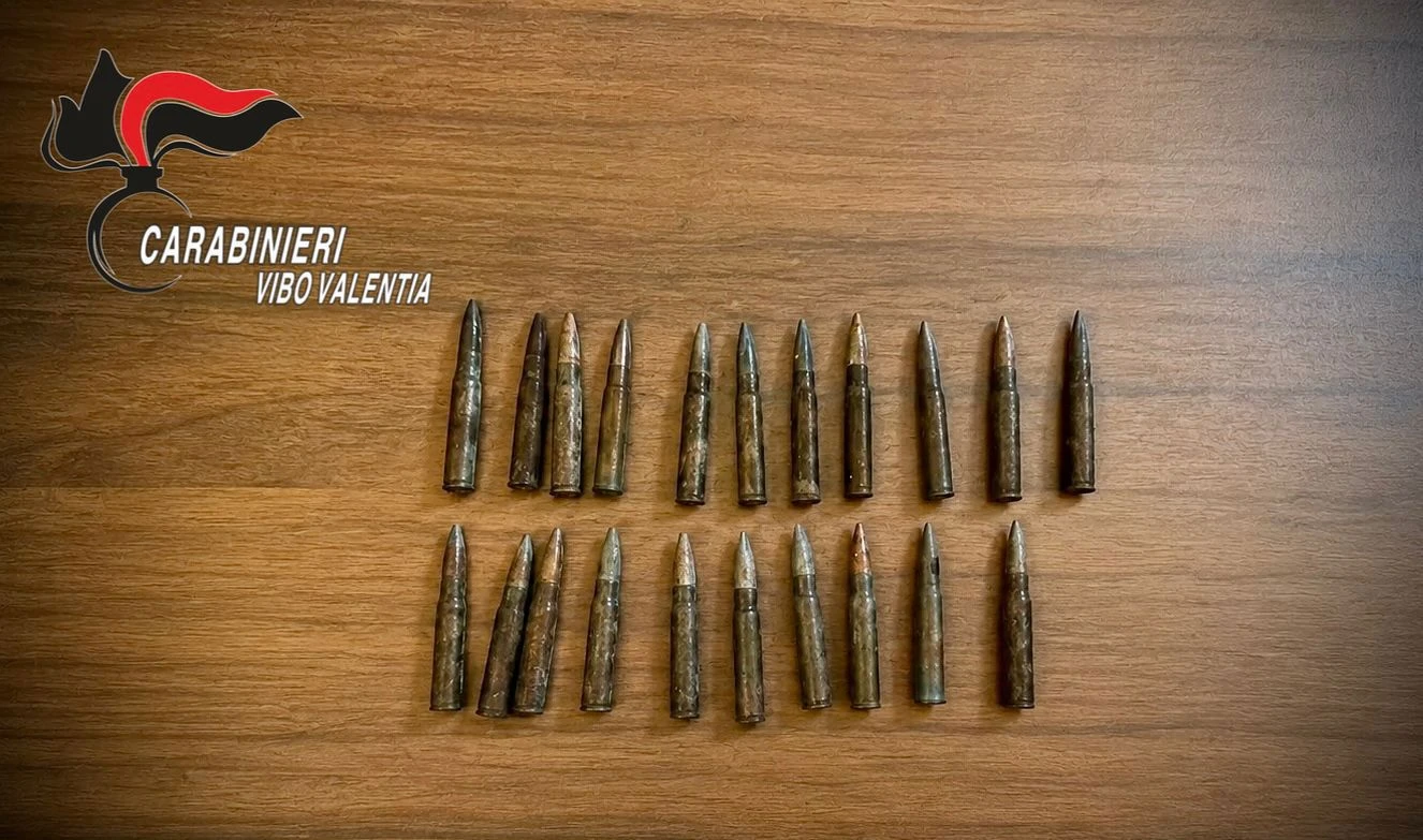 Munizioni nascoste tra la vegetazione in un’area demaniale nel Vibonese: sequestrate dai carabinieri