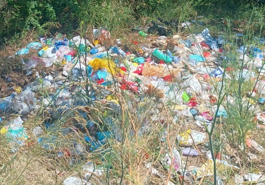 Catanzaro, degrado a Pontegrande: rifiuti abbandonati nella zona verde di viale Pio X