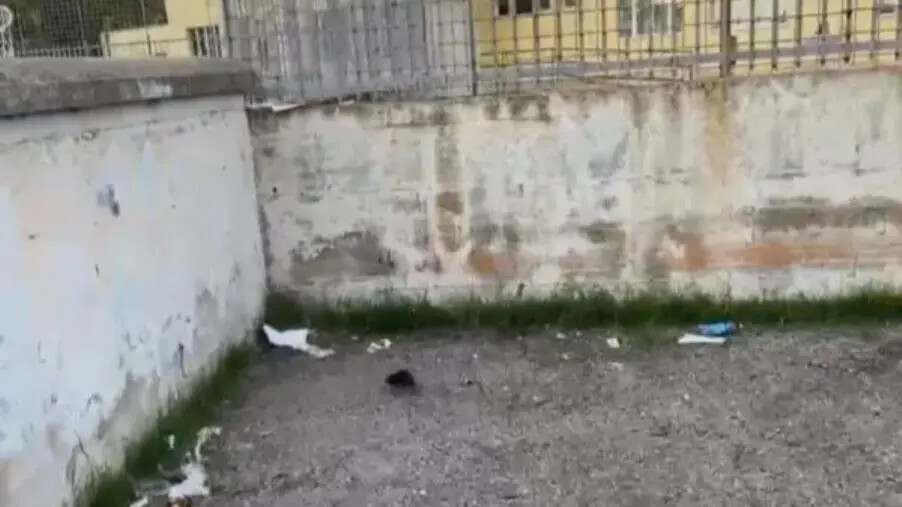 images Scuola Porto di Catanzaro, Riccio e Concolino: "Degrado imperante e ratti, si intervenga immediatamente"