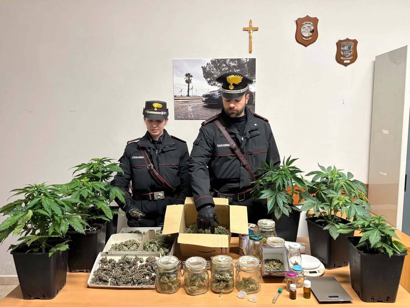 Marijuana in casa tra serre e chili di erba: arrestato 55enne a Sellia Marina
