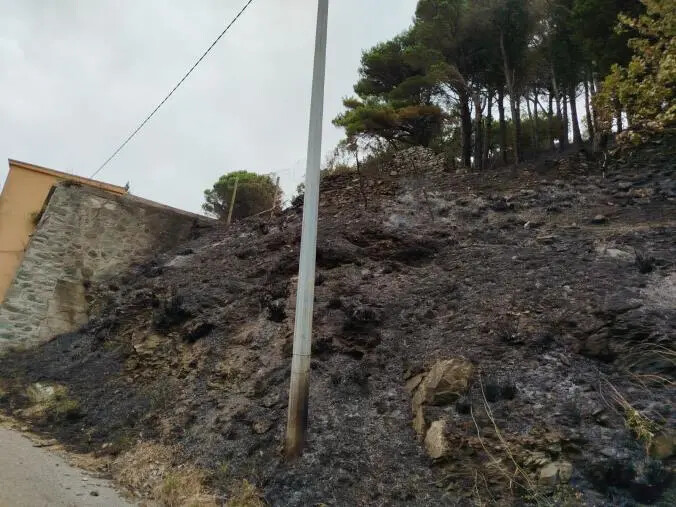 Domato lo spaventoso incendio a Gimigliano, nelle prossime ore la conta dei danni images Domato lo spaventoso incendio a Gimigliano, nelle prossime ore la conta dei danni