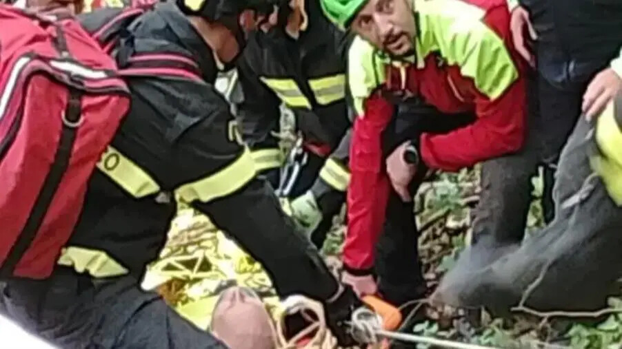 Concluse le operazioni di soccorso all'anziano scomparso 2 giorni fa nel Catanzarese images Concluse le operazioni di soccorso all'anziano scomparso 2 giorni fa nel Catanzarese