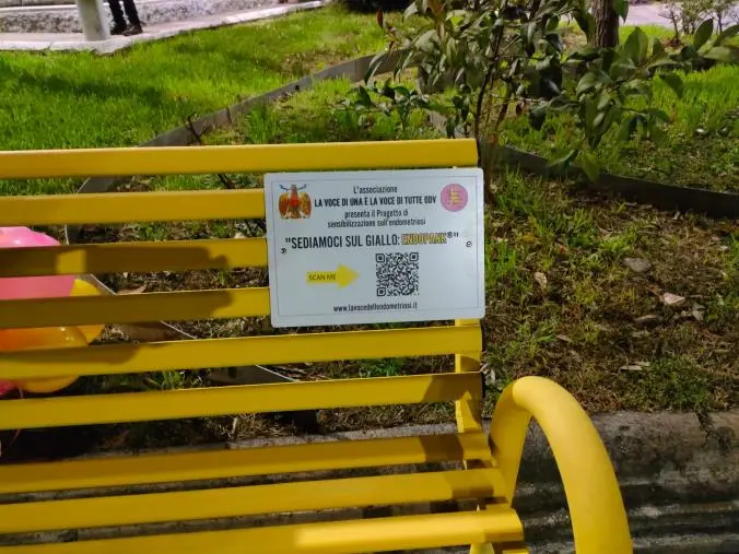 images Endometriosi, Catanzaro ha la sua "Endopank" in piazza Rotella per sensibilizzare la comunità