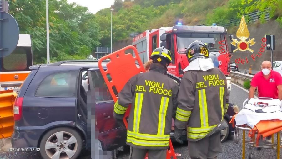 Aspromonte, va a funghi con gli amici e si perde: recuperato dai Vigili del fuoco images Aspromonte, va a funghi con gli amici e si perde: recuperato dai Vigili del fuoco