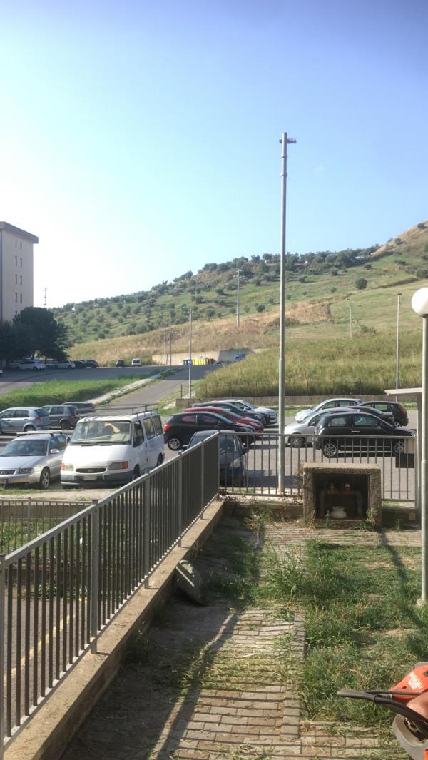 images Catanzaro. Sassaiola contro i passanti a viale Isonzo. La denuncia di Sergio Costanzo: "Si è rischiata la tragedia"