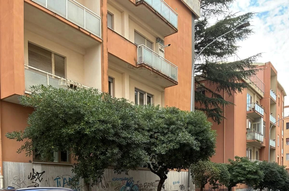 Catanzaro, al via il censimento degli alberi monumentali