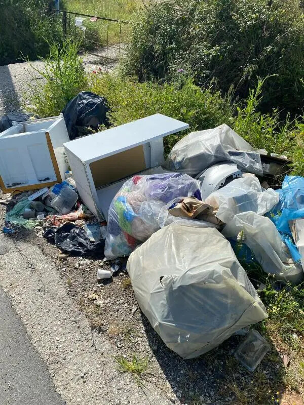 images Catanzaro, Costa: "Grave situazione ambientale in contrada Guglia: rifiuti lungo la strada"
