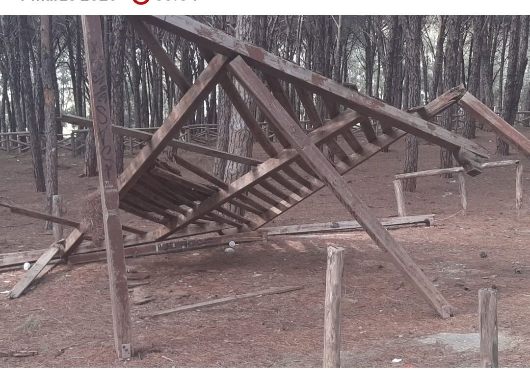 images Catanzaro, degrado nella Pineta di Giovino: "I Quartieri Catanzaresi" chiede interventi urgenti prima dell’estate