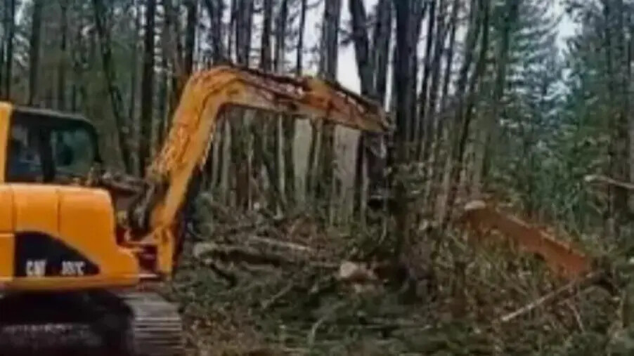 images Maltempo a Catanzaro, al lavoro per liberare tutte le strade provinciali 