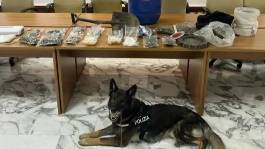 Droga in casa: un arresto a Reggio Calabria images Droga in casa: un arresto a Reggio Calabria