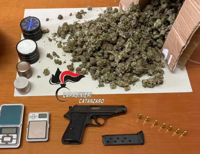 Deteneva droga e un’arma clandestina, giovane arrestato a Maida images Deteneva droga e un’arma clandestina, giovane arrestato a Maida