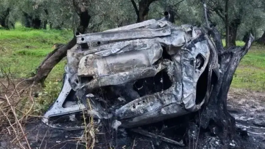 Tragedia nel Catanzarese, ipotesi omicidio stradale images Tragedia nel Catanzarese, ipotesi omicidio stradale