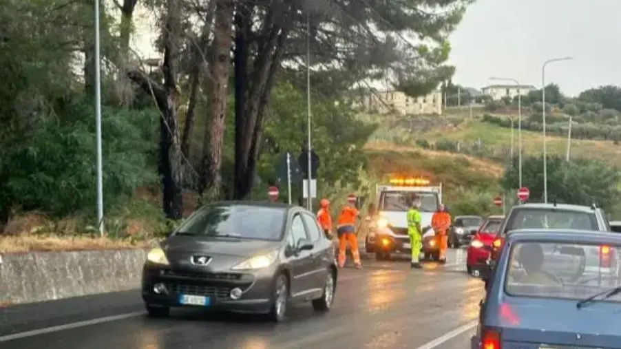 Maltempo, a Copanello detriti sulla carreggiata: strada bloccata e rallentamenti images Maltempo, a Copanello detriti sulla carreggiata: strada bloccata e rallentamenti