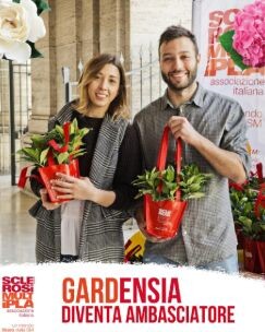 images La sezione AISM di Catanzaro cerca volontari per la manifestazione Nazionale delle Gardensie