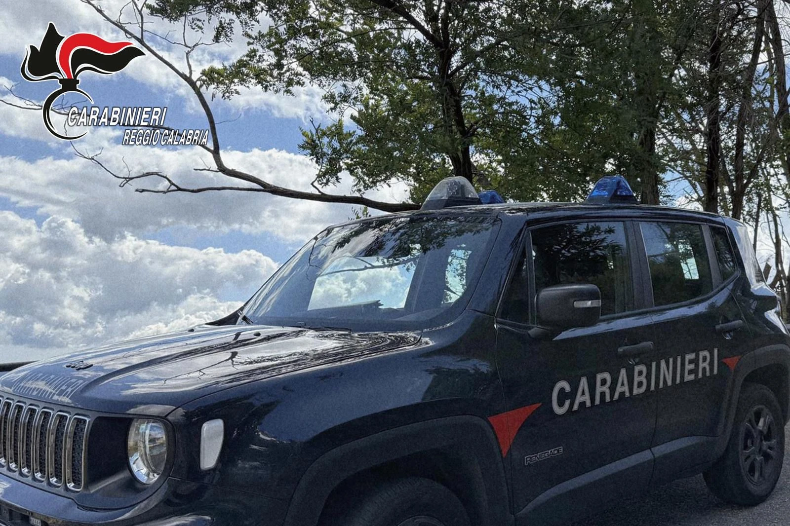 Villa San Giovanni, pesce venduto dal bagagliaio dell’auto senza refrigerazione: uomo deferito dai Carabinieri