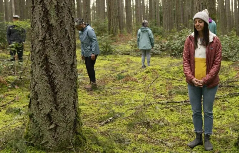 images Onco-forestytherapy a Taverna, domenica convegno ed esperienza multisensoriale