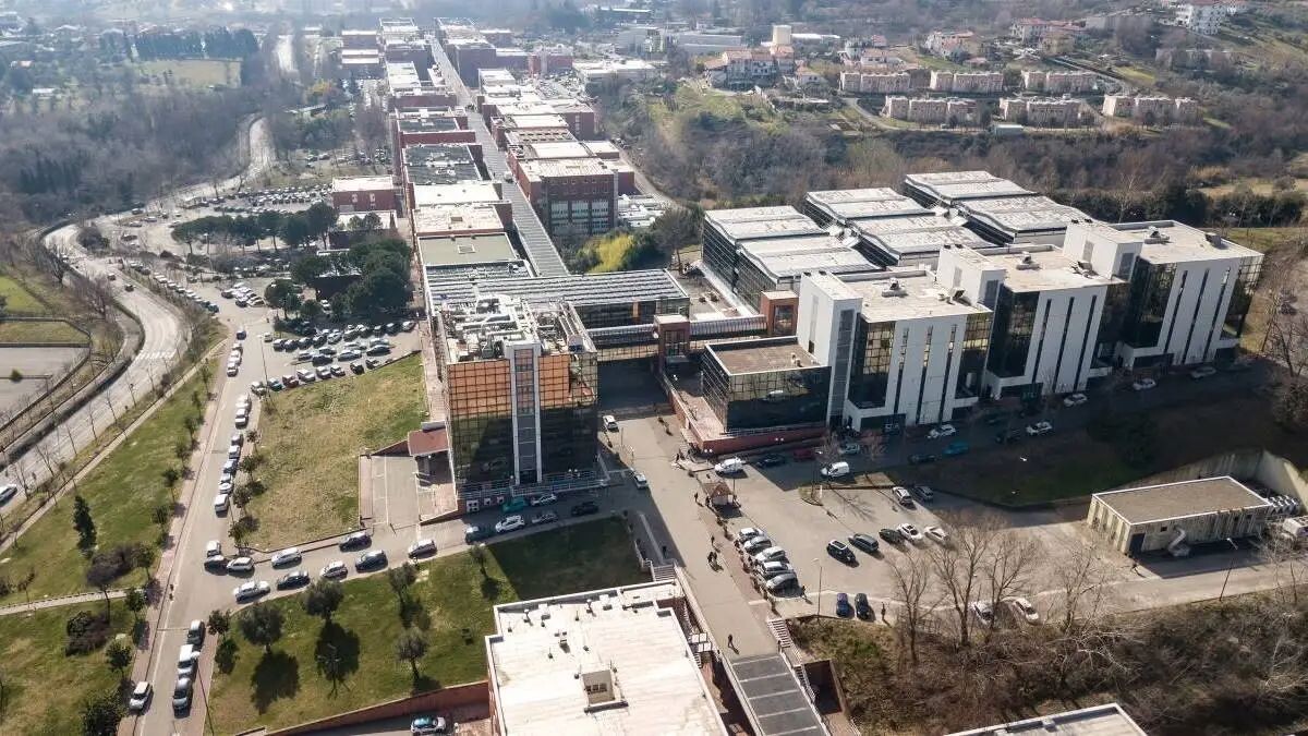 images L’Unical presenta il Piano Strategico: visione, obiettivi e direttrici per lo sviluppo pluriennale dell’Ateneo