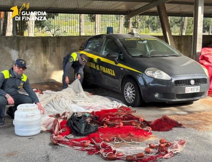 images Vibo, lotta alla pesca di frodo: sequestrati circa 55 chili di novellame di sarda 