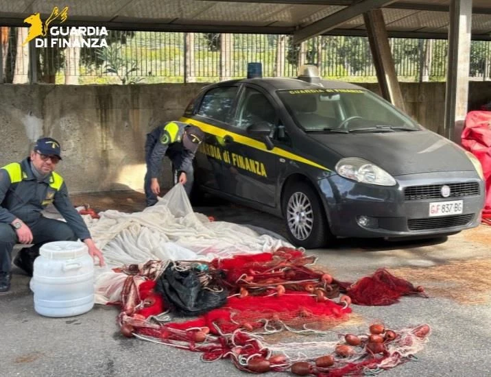 Vibo, lotta alla pesca di frodo: sequestrati circa 55 chili di novellame di sarda 